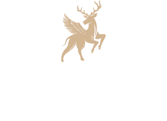 Siner Torque